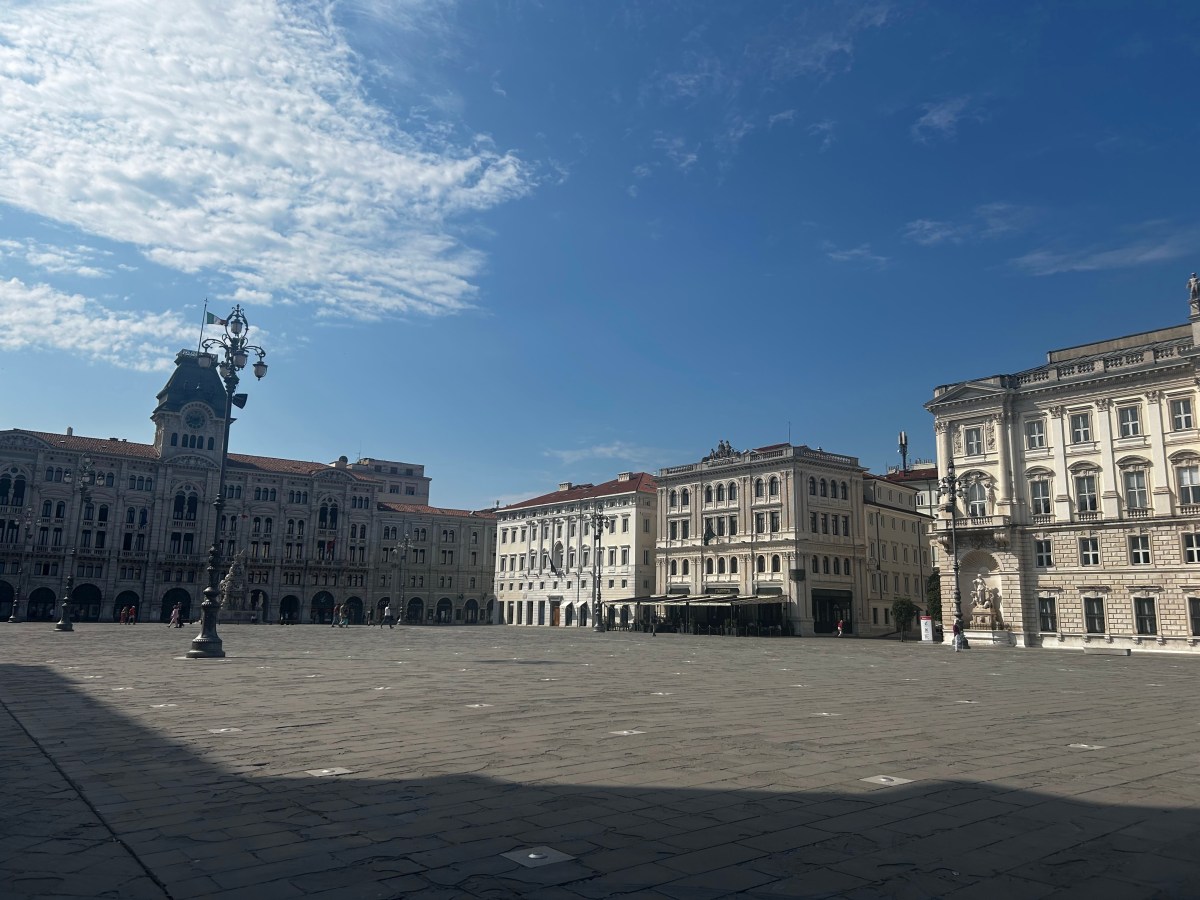 Alma, romanzo di Federica&nbsp;Manzon
